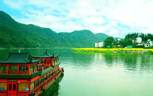 网络化信息化高端